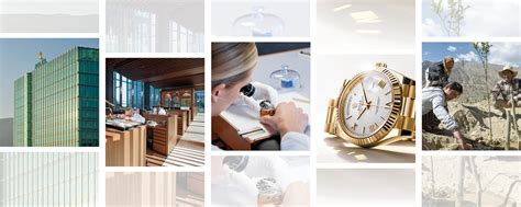 rolex soziales engagement|rolex sustainability strategy.